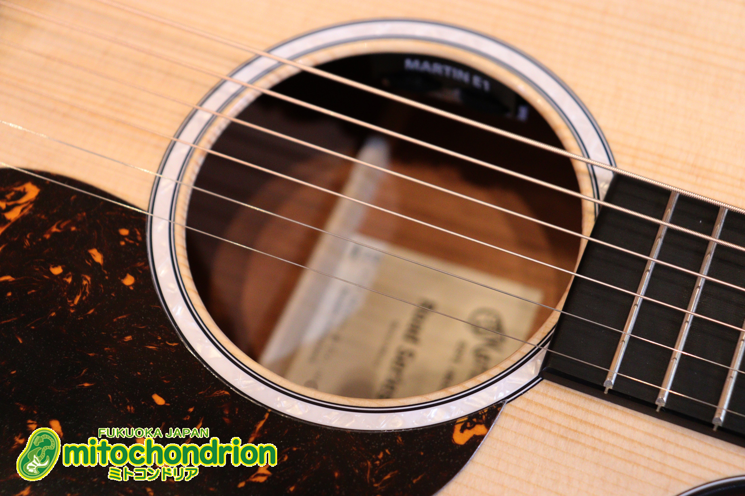 ドレッドノートとOOOの良い所を組み合わせたボディーのGPC！ハイフレットも弾きやすいです。