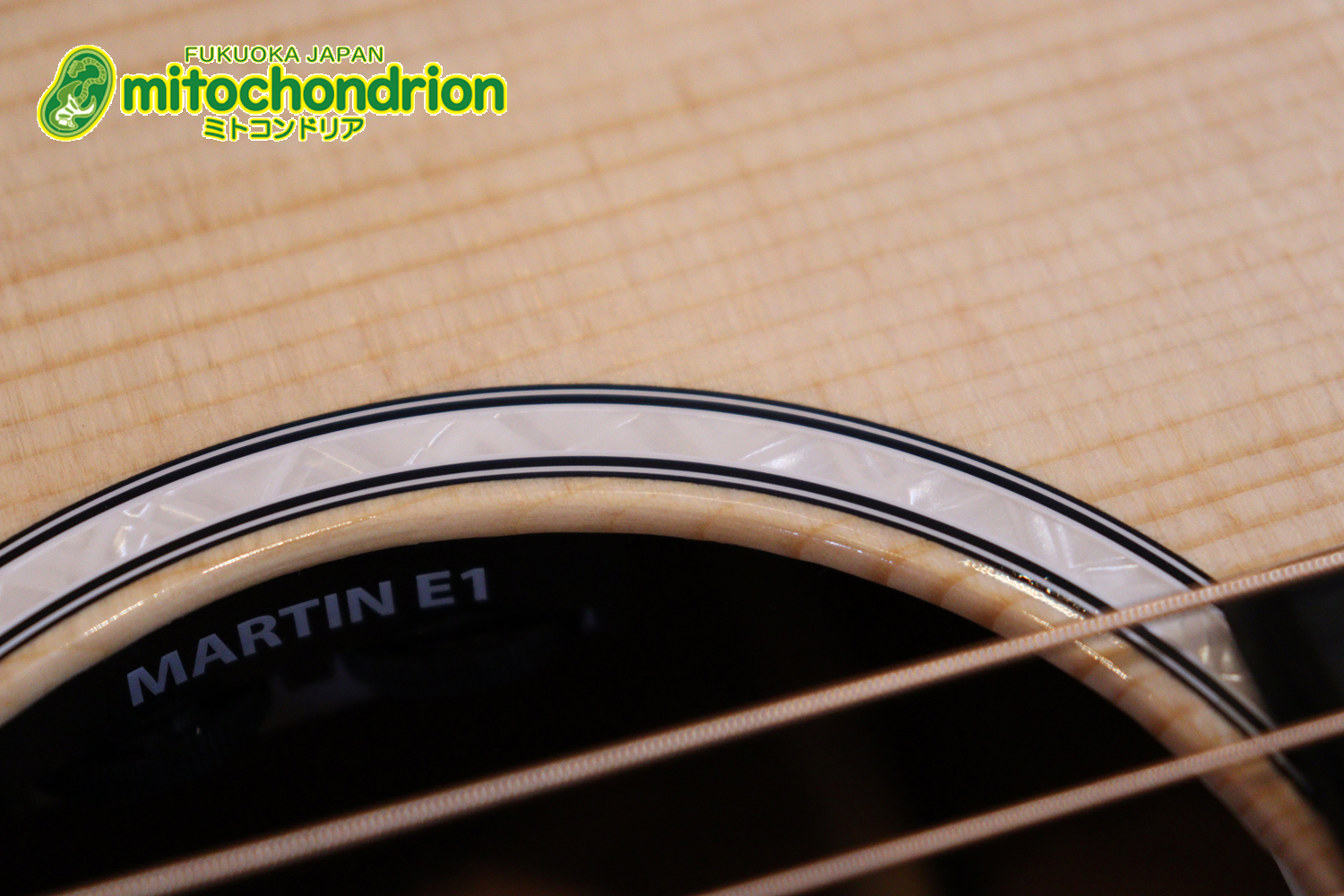 ドレッドノートとOOOの良い所を組み合わせたボディーのGPC！ハイフレットも弾きやすいです。