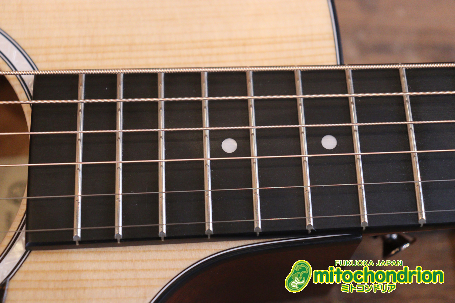 ドレッドノートとOOOの良い所を組み合わせたボディーのGPC！ハイフレットも弾きやすいです。