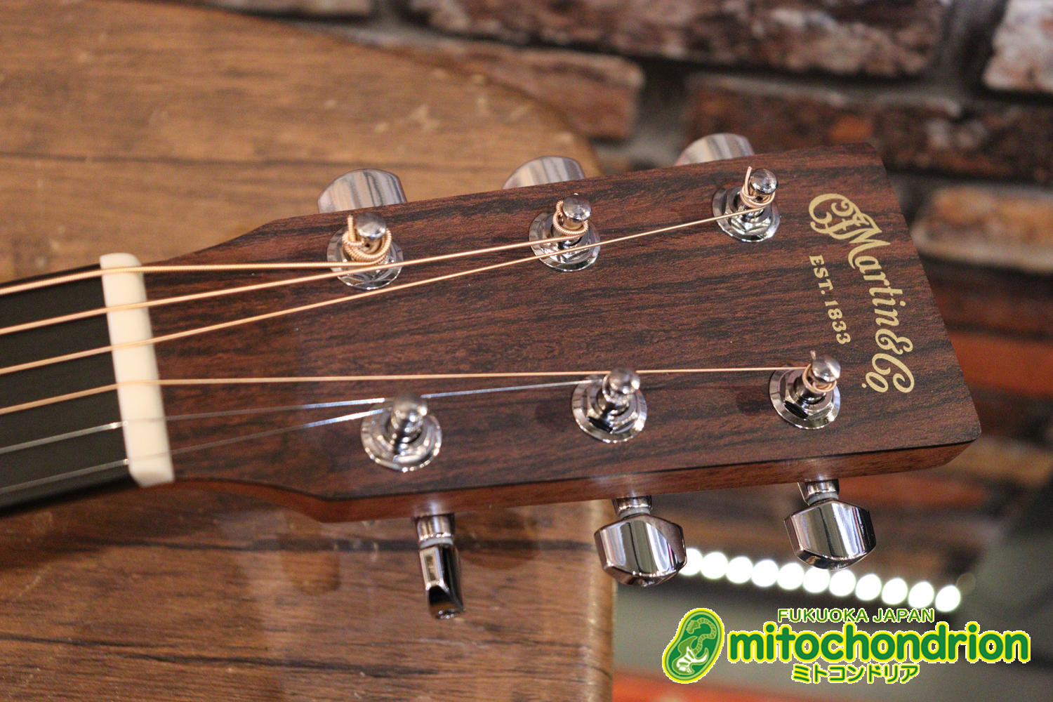 ドレッドノートとOOOの良い所を組み合わせたボディーのGPC！ハイフレットも弾きやすいです。