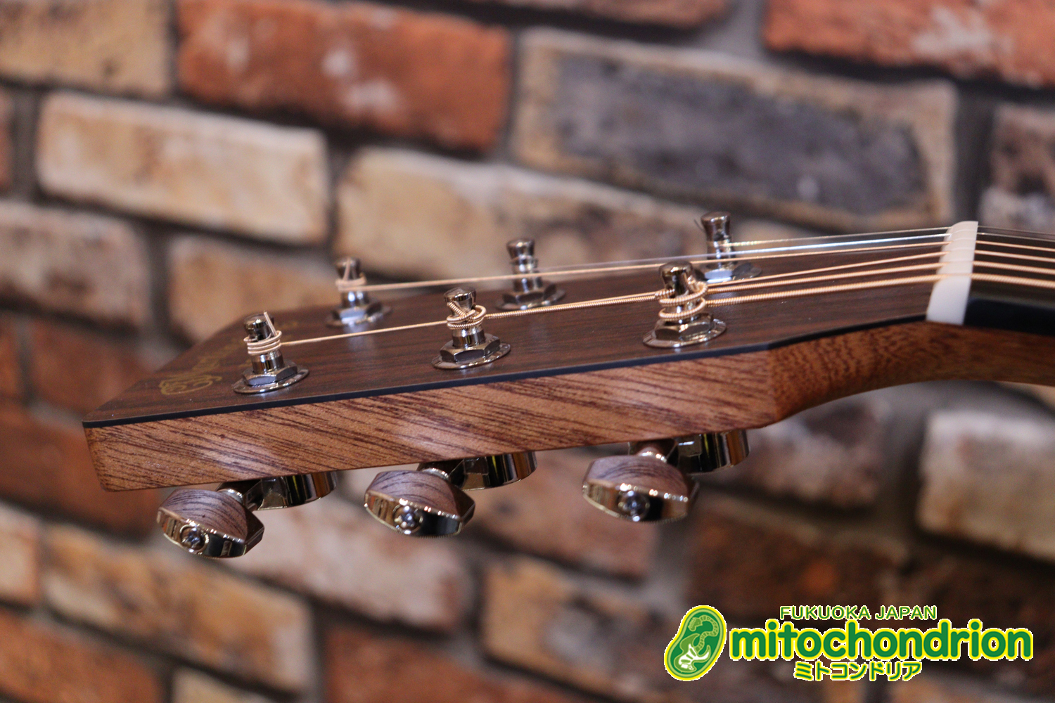 ドレッドノートとOOOの良い所を組み合わせたボディーのGPC！ハイフレットも弾きやすいです。