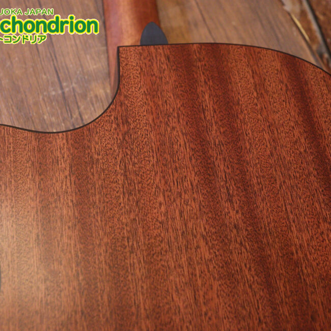 ドレッドノートとOOOの良い所を組み合わせたボディーのGPC！ハイフレットも弾きやすいです。