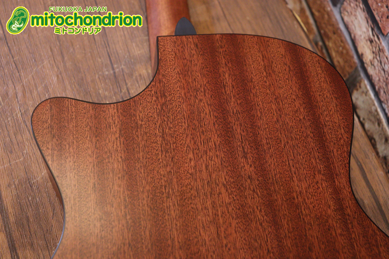 ドレッドノートとOOOの良い所を組み合わせたボディーのGPC！ハイフレットも弾きやすいです。