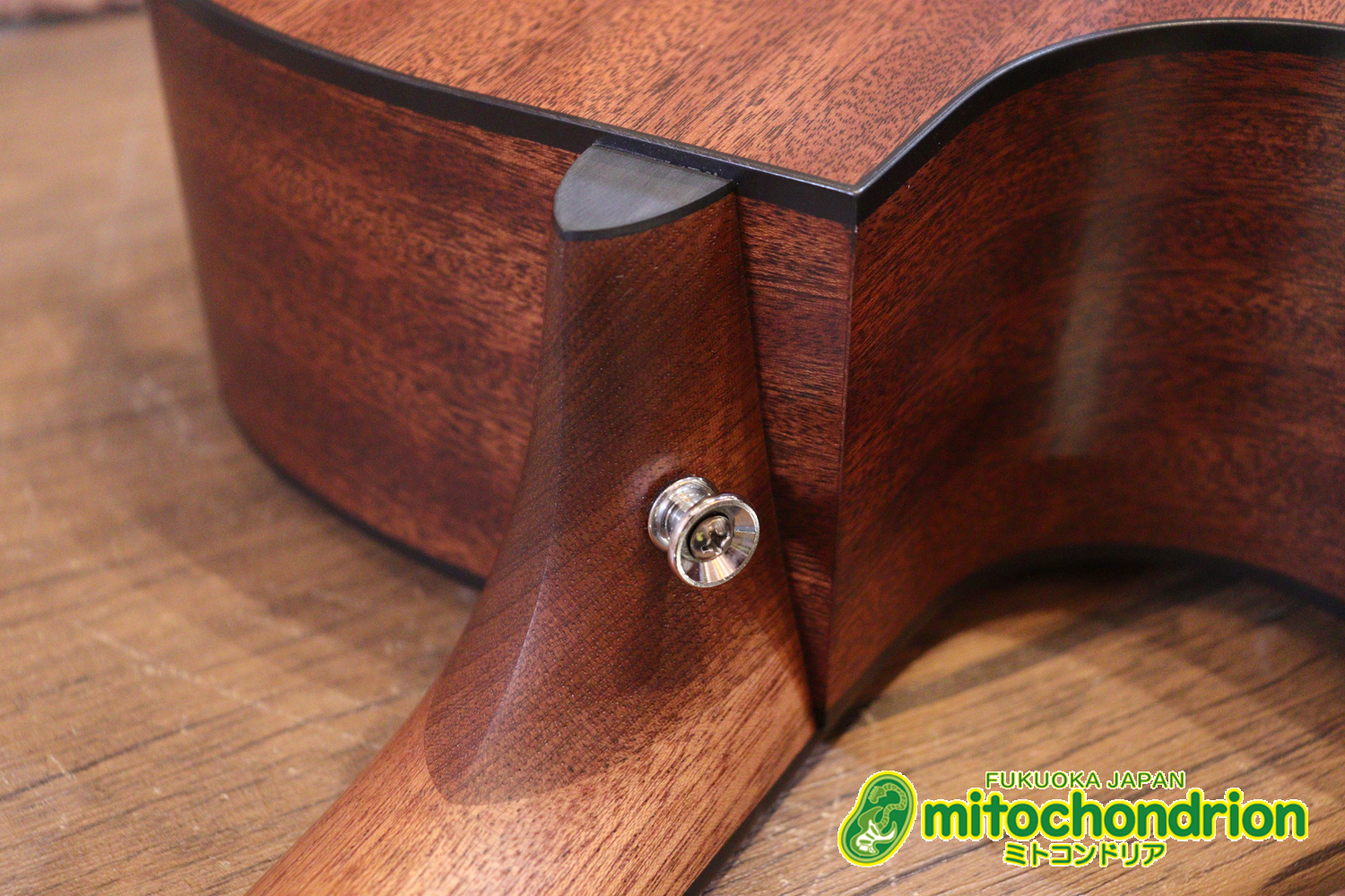 ドレッドノートとOOOの良い所を組み合わせたボディーのGPC！ハイフレットも弾きやすいです。