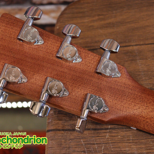 ドレッドノートとOOOの良い所を組み合わせたボディーのGPC！ハイフレットも弾きやすいです。