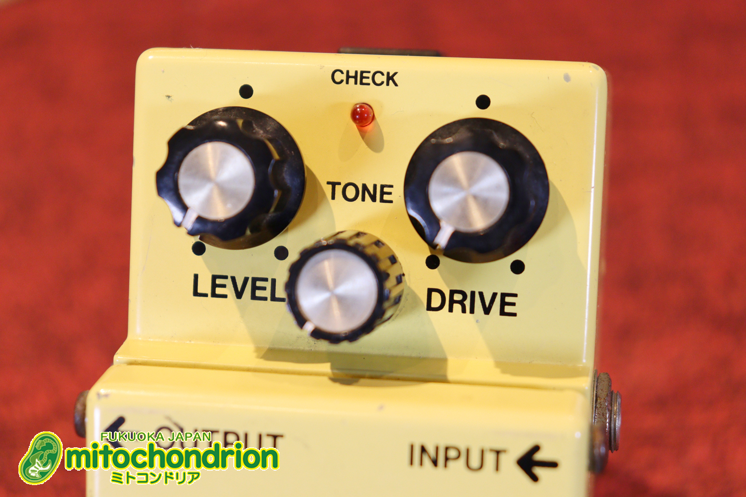 1981年からのロングセラー・オーバードライブ！