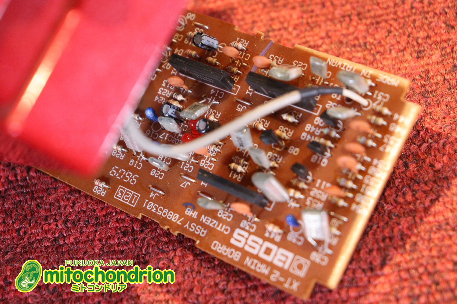 約2年と言う短命で終わってしまったメタル系のディストーション！