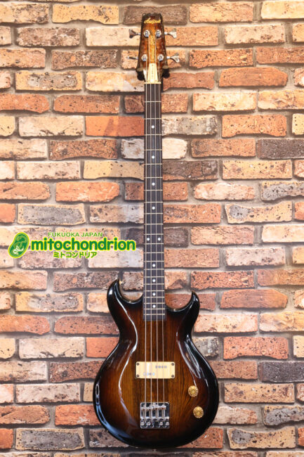 懐かしい、CSB-450！ミディアムスケースの1ピックアップ！