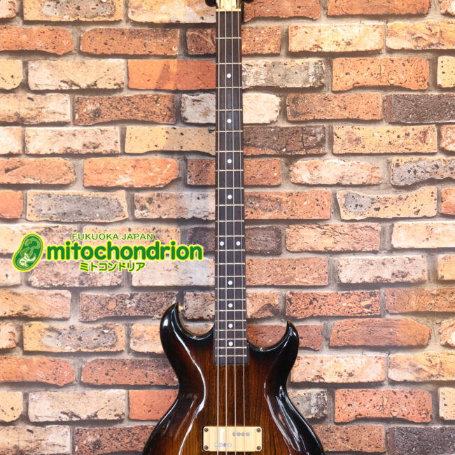 懐かしい、CSB-450！ミディアムスケースの1ピックアップ！