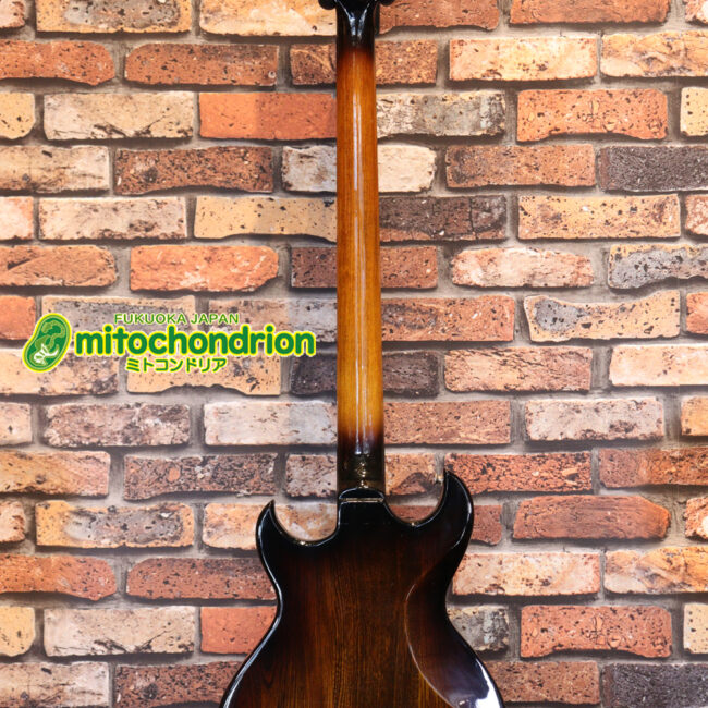 懐かしい、CSB-450！ミディアムスケースの1ピックアップ！