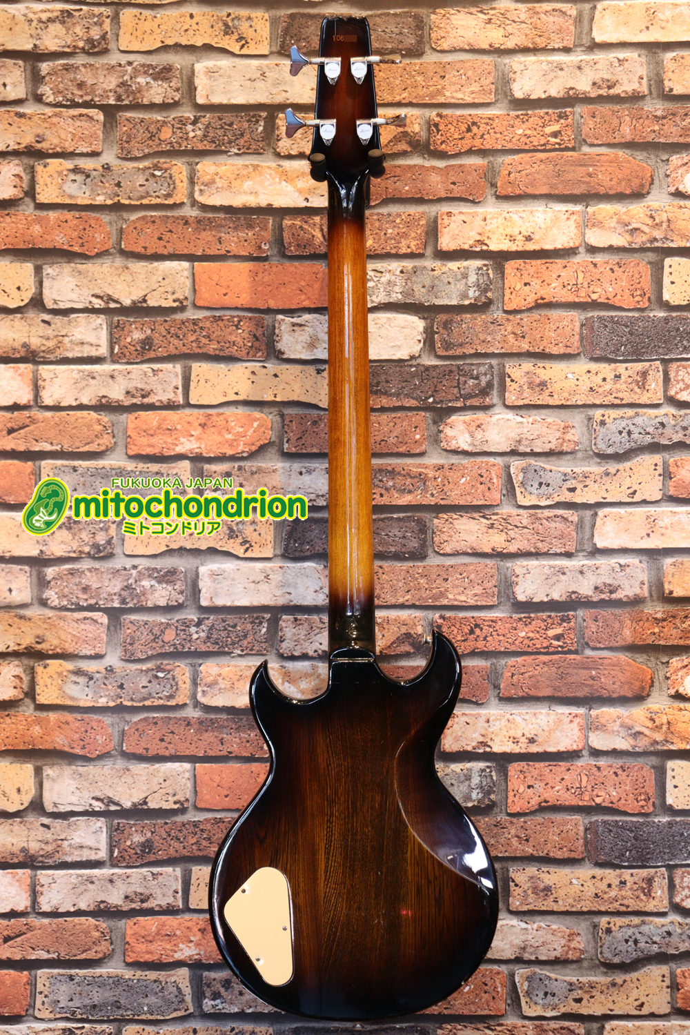 懐かしい、CSB-450！ミディアムスケースの1ピックアップ！