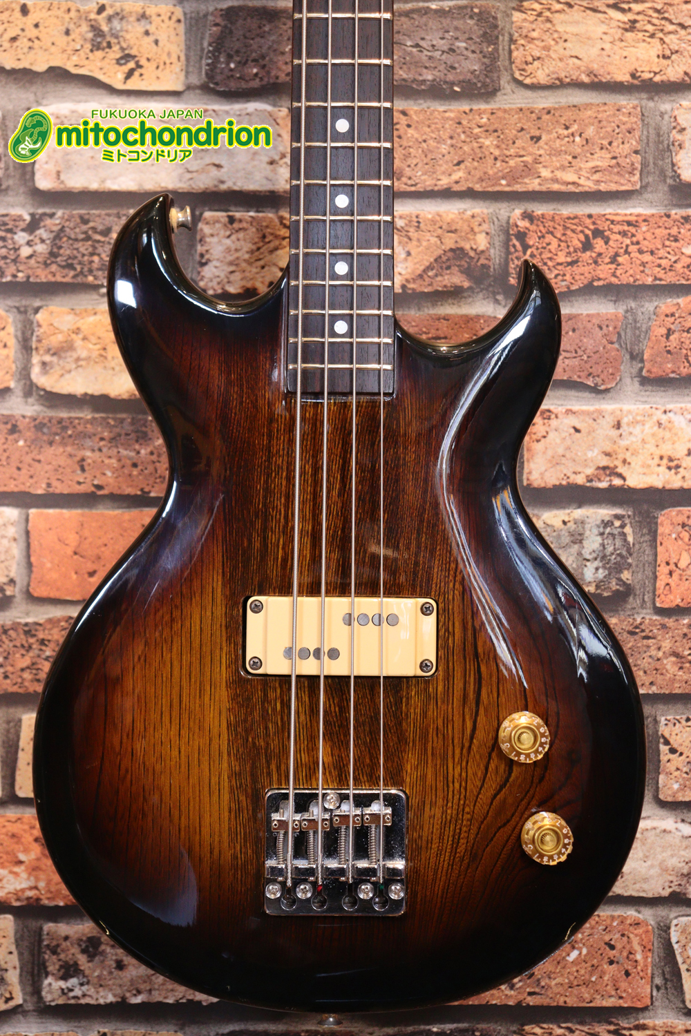 懐かしい、CSB-450！ミディアムスケースの1ピックアップ！