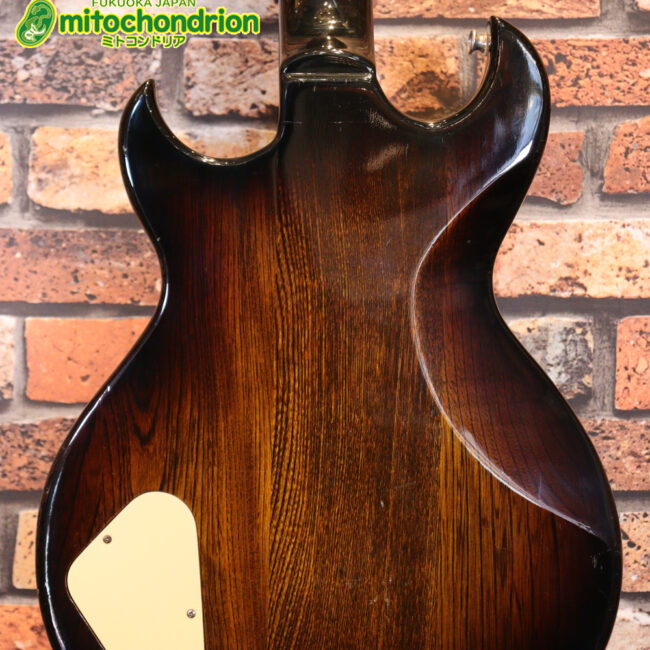 懐かしい、CSB-450！ミディアムスケースの1ピックアップ！