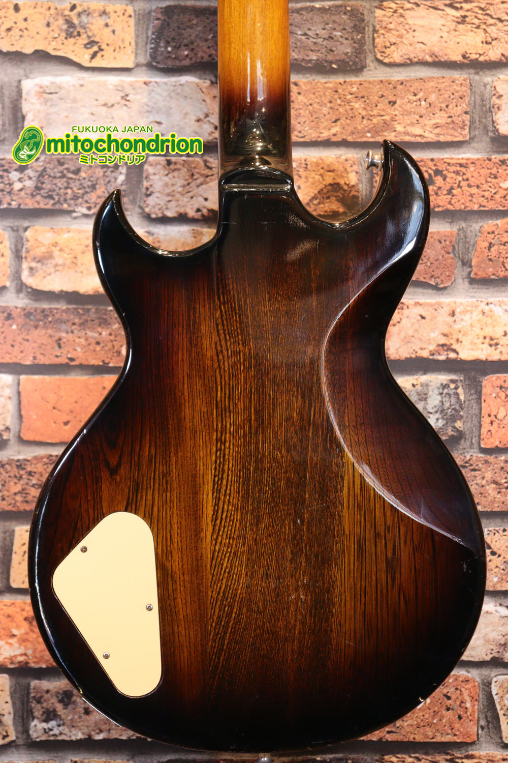 懐かしい、CSB-450！ミディアムスケースの1ピックアップ！