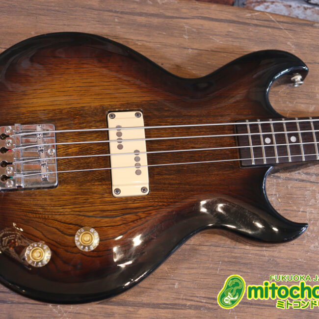 懐かしい、CSB-450！ミディアムスケースの1ピックアップ！