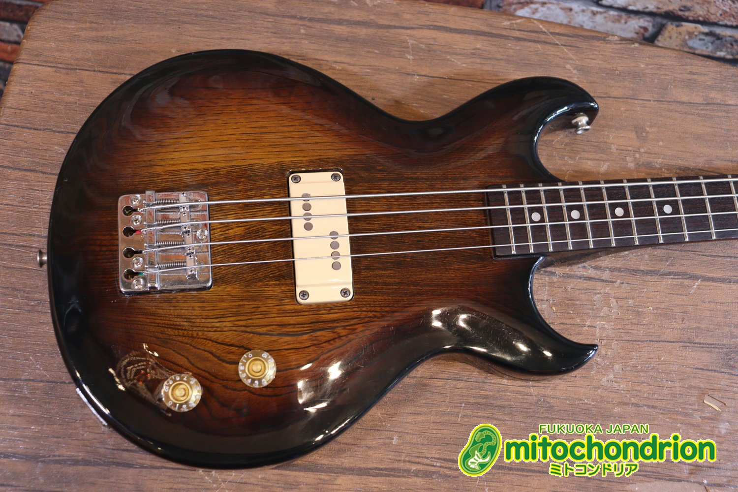 懐かしい、CSB-450！ミディアムスケースの1ピックアップ！