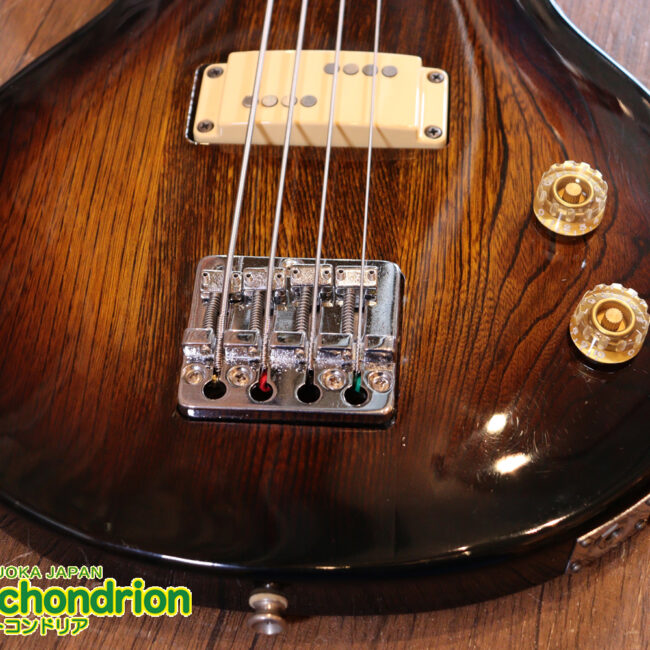 懐かしい、CSB-450！ミディアムスケースの1ピックアップ！