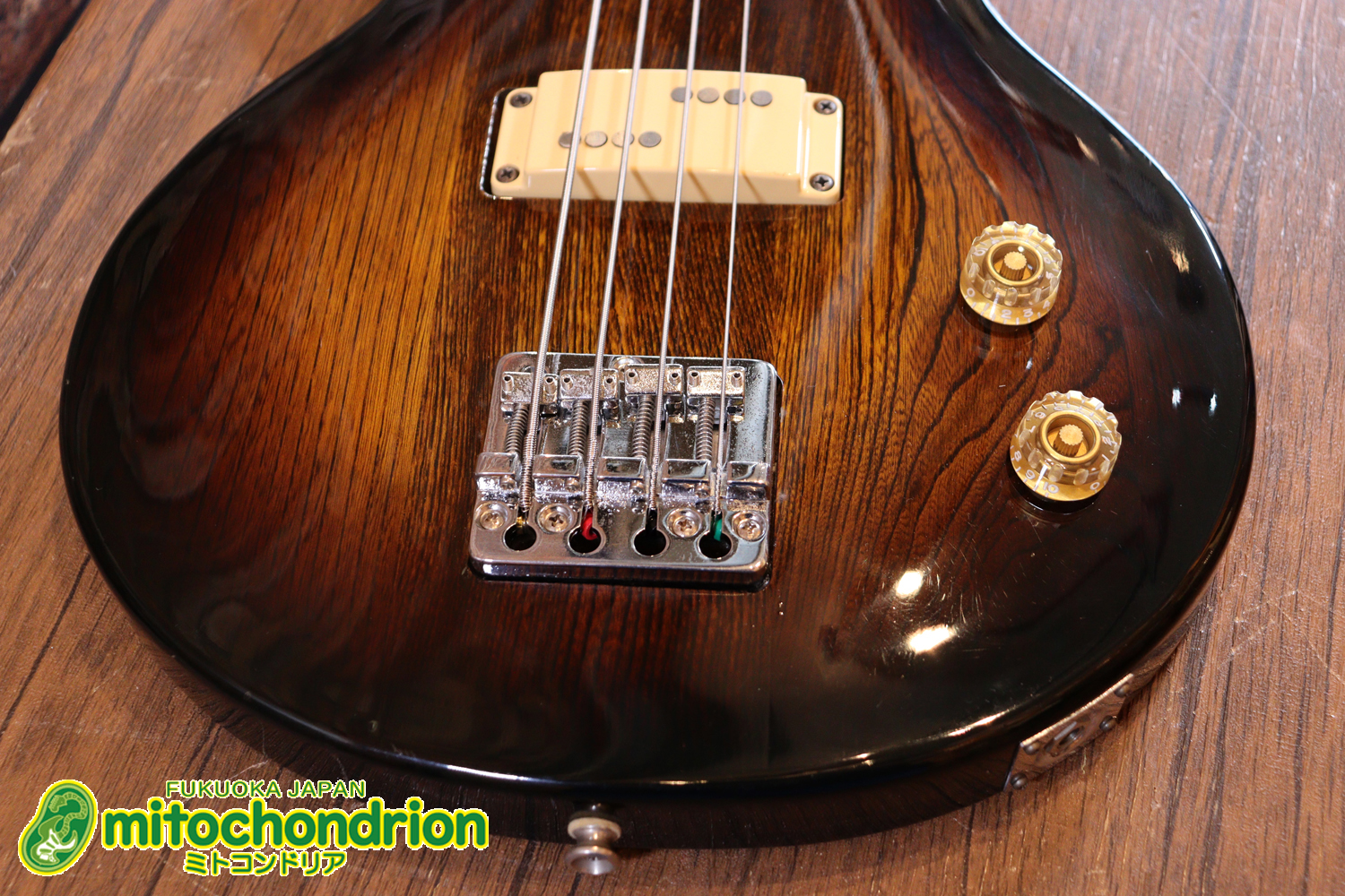 懐かしい、CSB-450！ミディアムスケースの1ピックアップ！