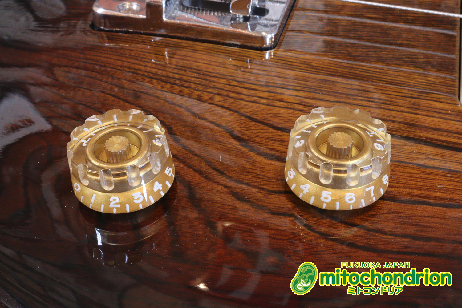 懐かしい、CSB-450！ミディアムスケースの1ピックアップ！