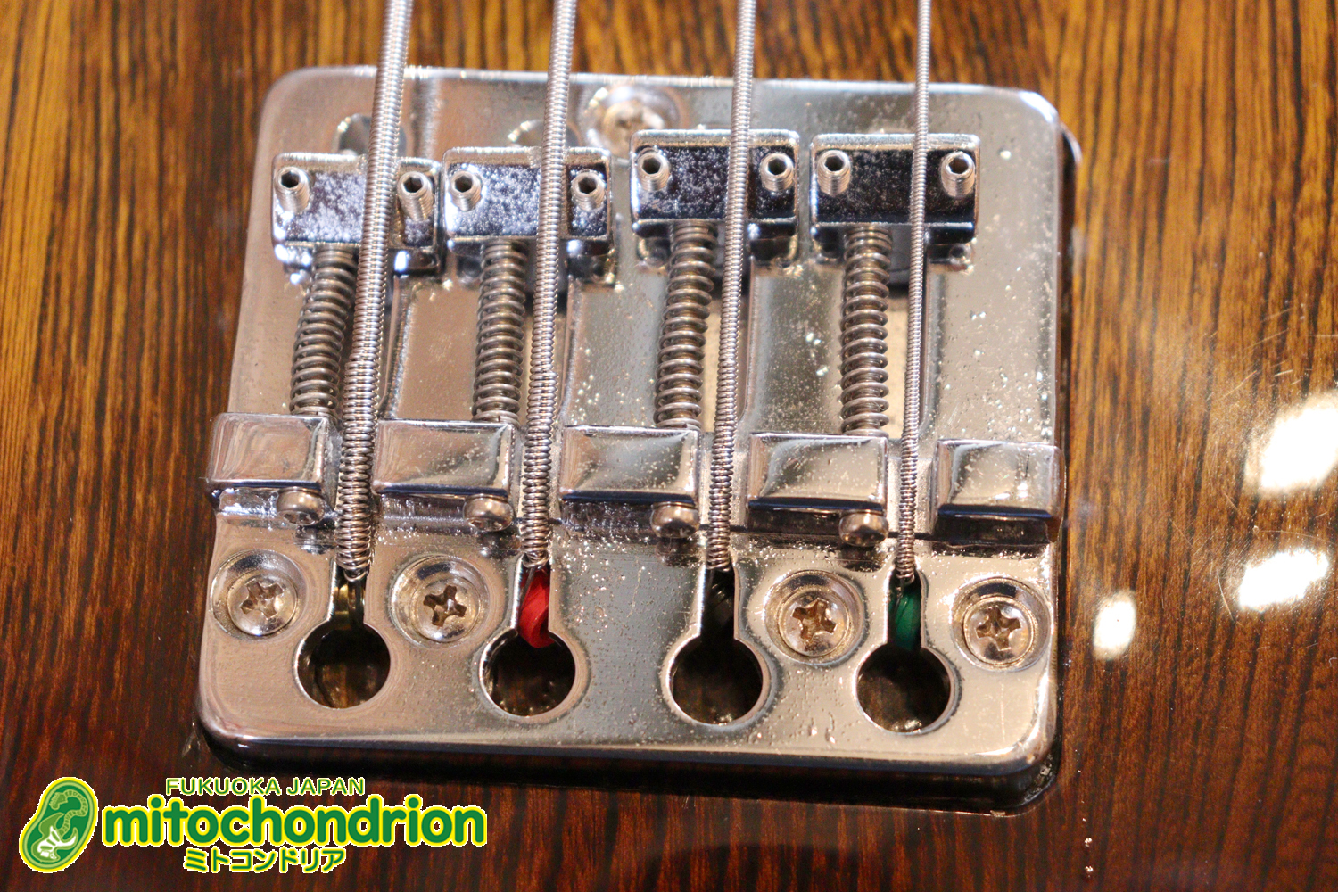 懐かしい、CSB-450！ミディアムスケースの1ピックアップ！