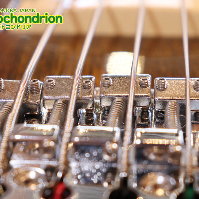 懐かしい、CSB-450！ミディアムスケースの1ピックアップ！