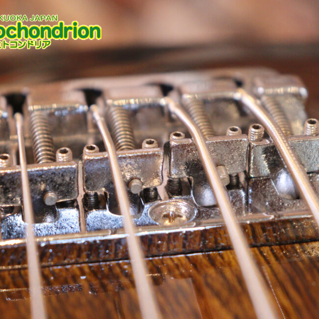 懐かしい、CSB-450！ミディアムスケースの1ピックアップ！