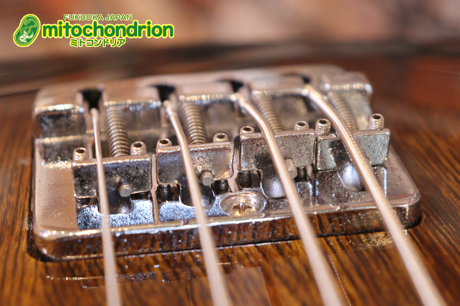 懐かしい、CSB-450！ミディアムスケースの1ピックアップ！