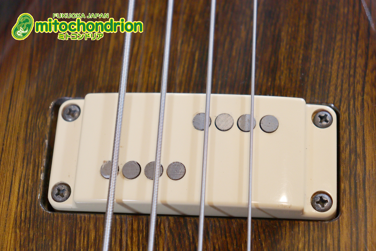 懐かしい、CSB-450！ミディアムスケースの1ピックアップ！