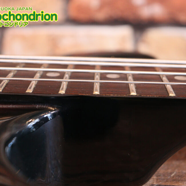 懐かしい、CSB-450！ミディアムスケースの1ピックアップ！