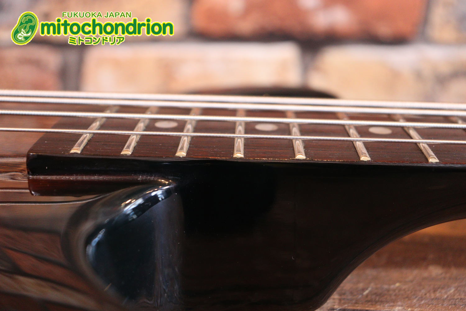 懐かしい、CSB-450！ミディアムスケースの1ピックアップ！