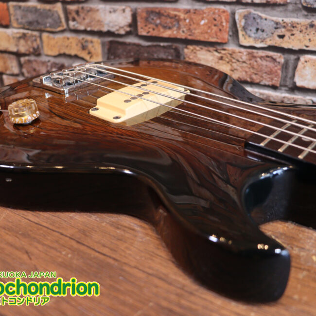 懐かしい、CSB-450！ミディアムスケースの1ピックアップ！