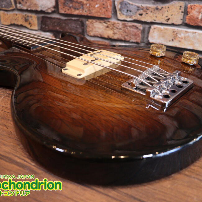 懐かしい、CSB-450！ミディアムスケースの1ピックアップ！