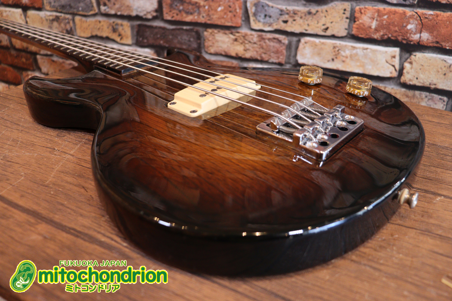 懐かしい、CSB-450！ミディアムスケースの1ピックアップ！