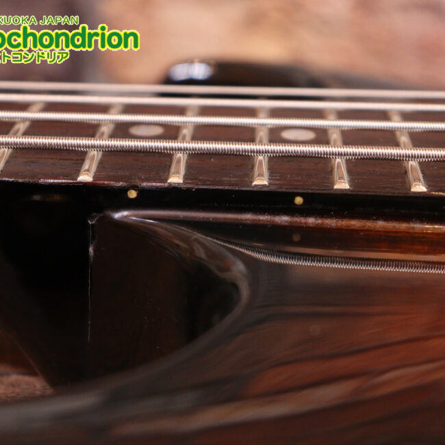 懐かしい、CSB-450！ミディアムスケースの1ピックアップ！