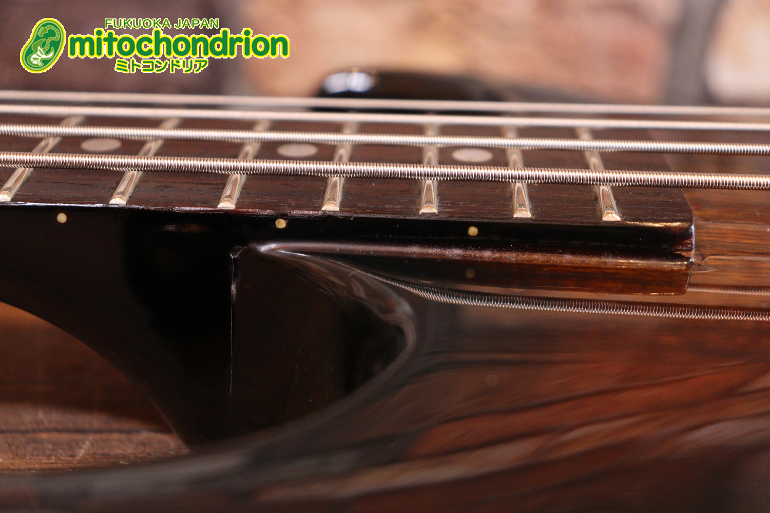 懐かしい、CSB-450！ミディアムスケースの1ピックアップ！