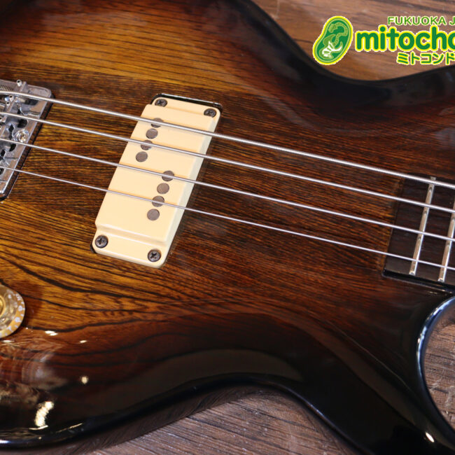 懐かしい、CSB-450！ミディアムスケースの1ピックアップ！