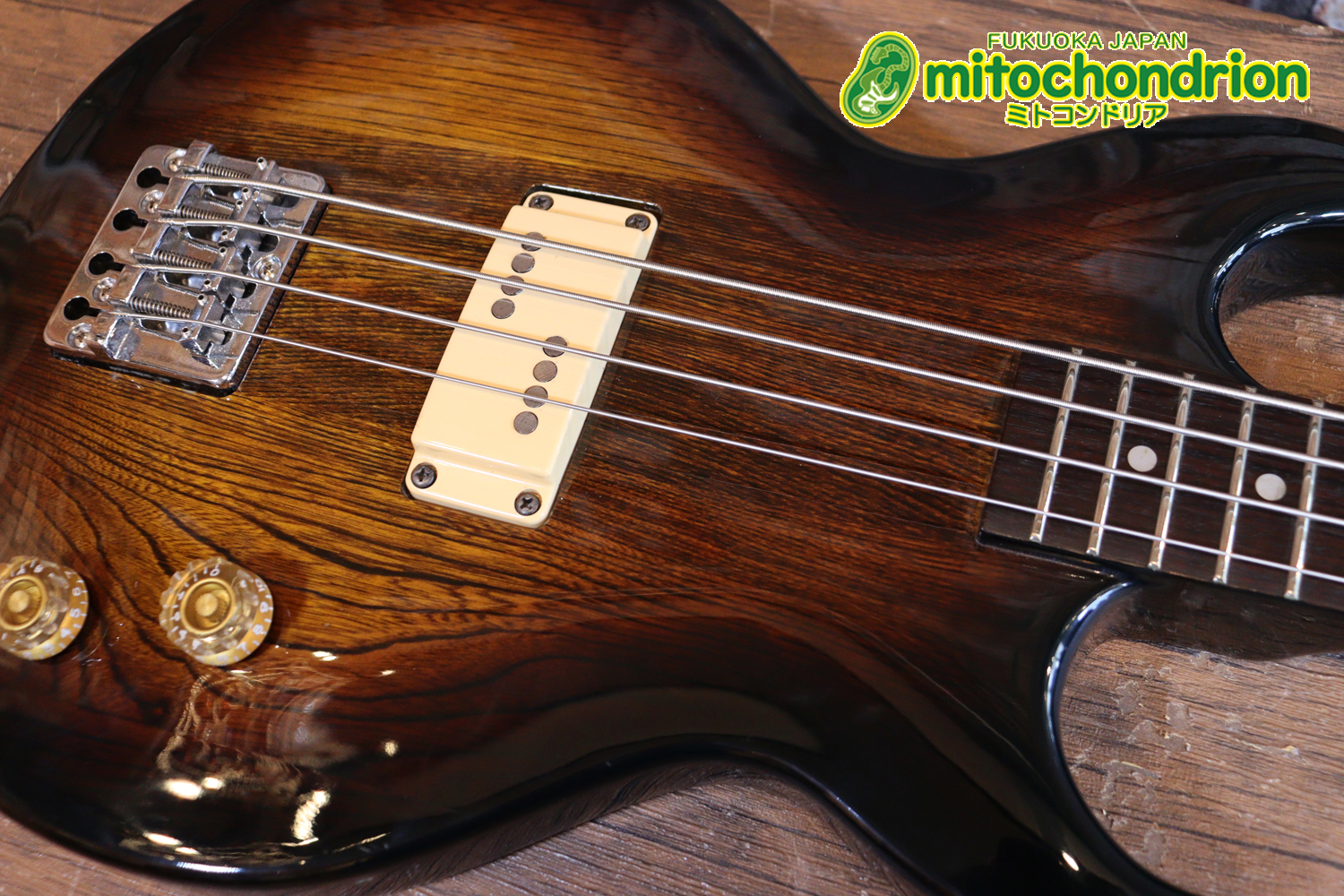 懐かしい、CSB-450！ミディアムスケースの1ピックアップ！