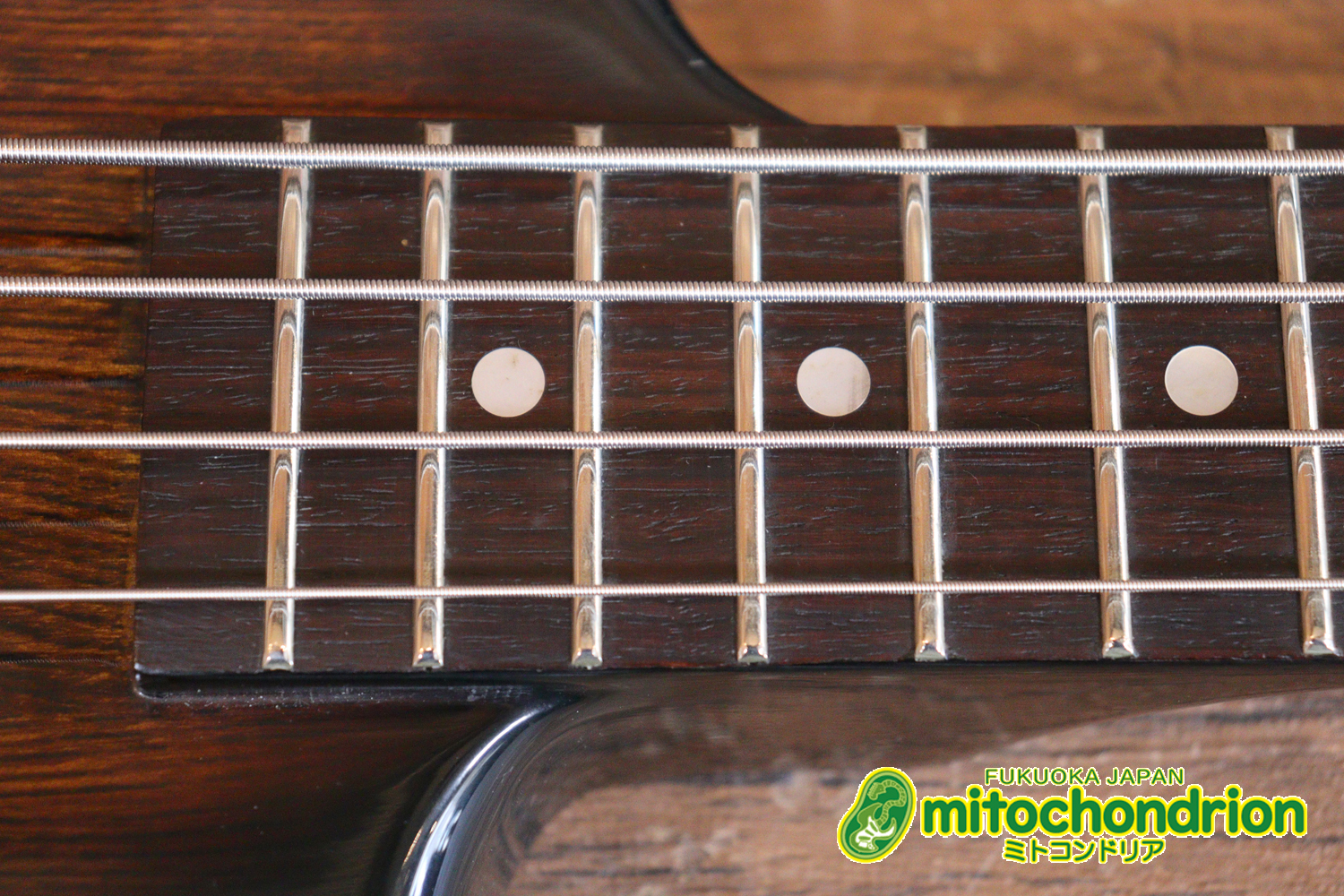 懐かしい、CSB-450！ミディアムスケースの1ピックアップ！