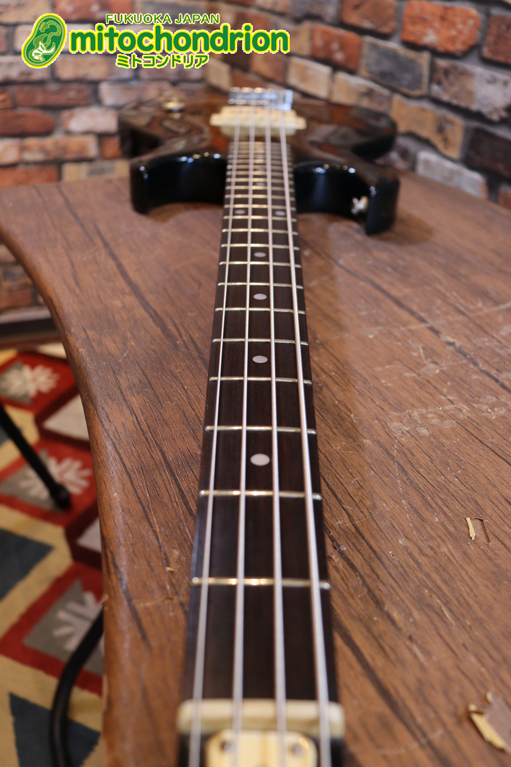 懐かしい、CSB-450！ミディアムスケースの1ピックアップ！