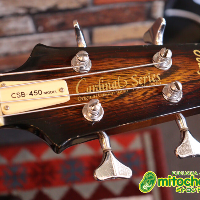 懐かしい、CSB-450！ミディアムスケースの1ピックアップ！