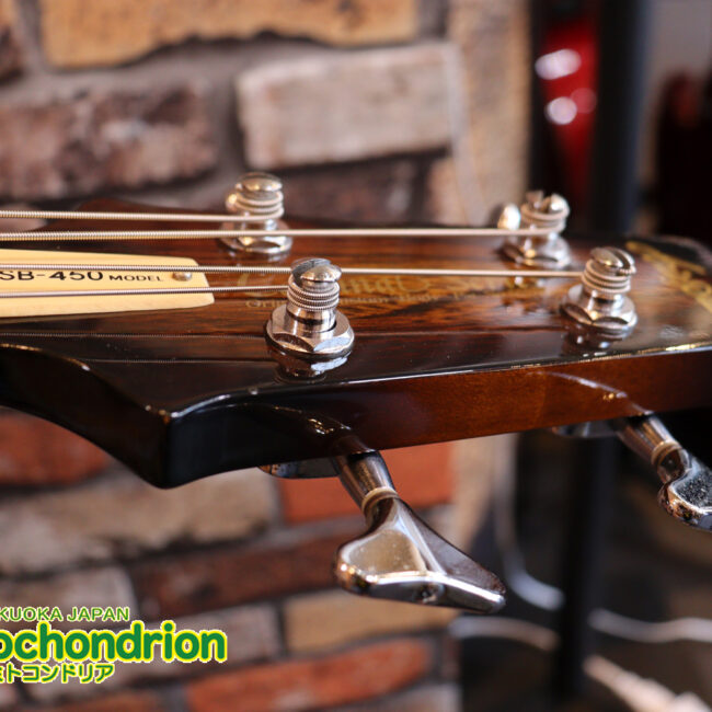懐かしい、CSB-450！ミディアムスケースの1ピックアップ！