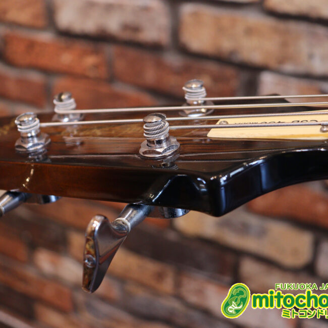 懐かしい、CSB-450！ミディアムスケースの1ピックアップ！