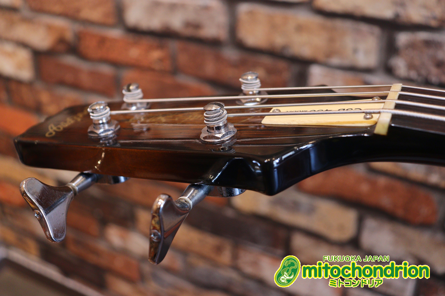 懐かしい、CSB-450！ミディアムスケースの1ピックアップ！