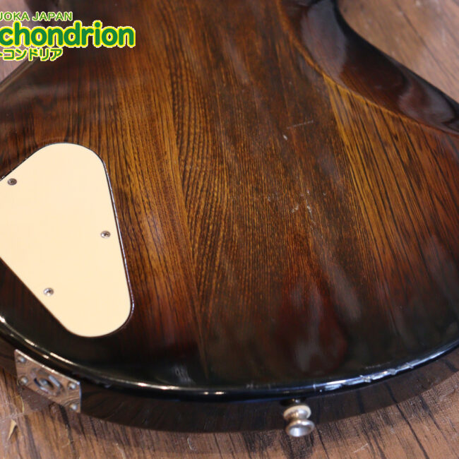 懐かしい、CSB-450！ミディアムスケースの1ピックアップ！