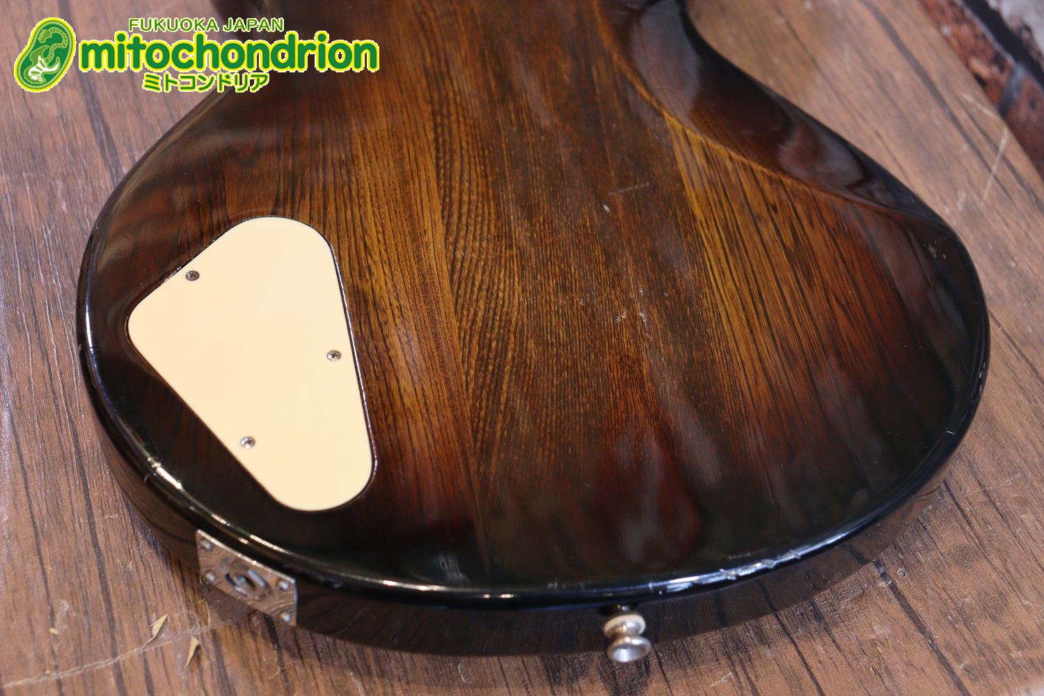 懐かしい、CSB-450！ミディアムスケースの1ピックアップ！