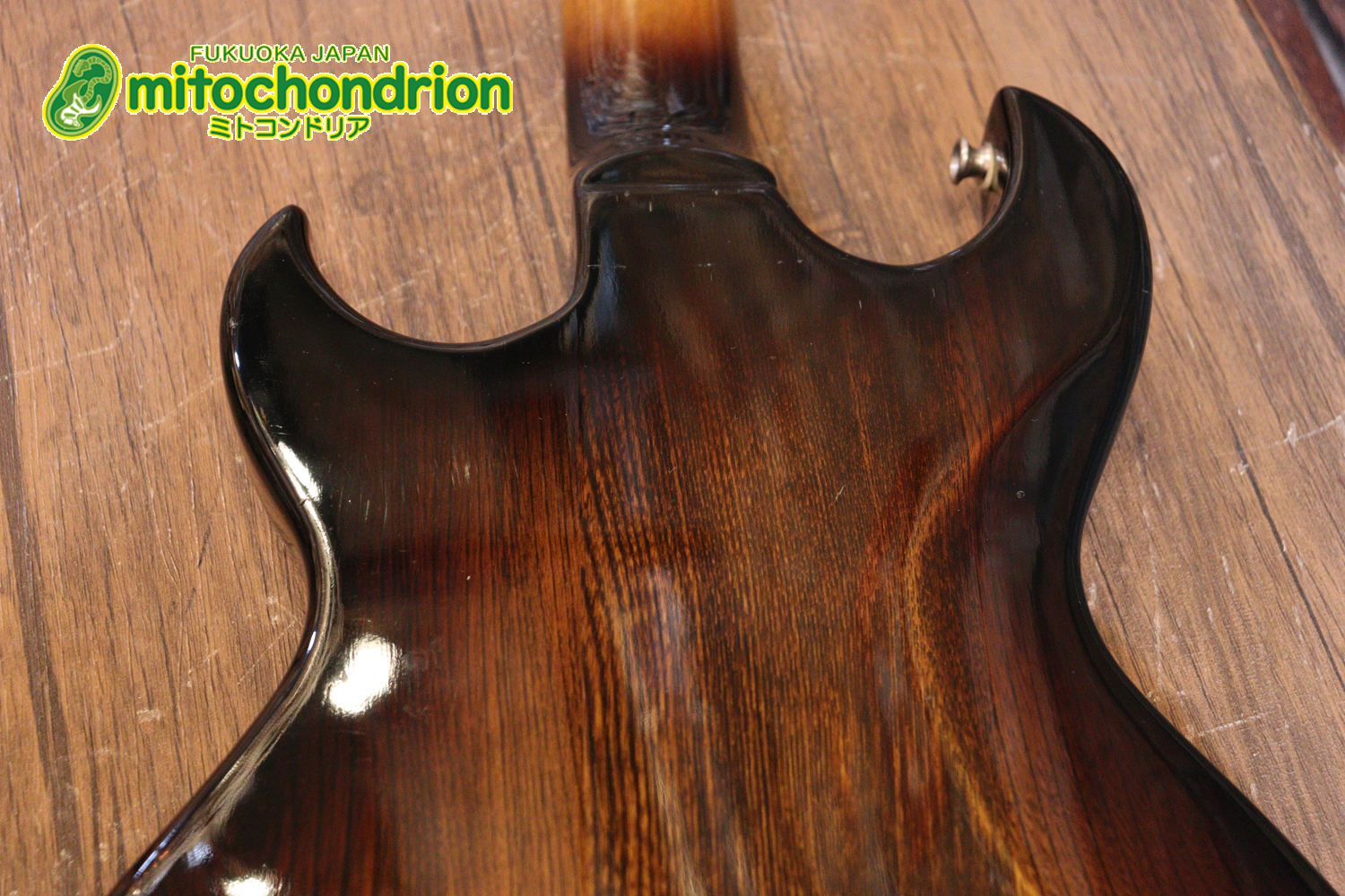 懐かしい、CSB-450！ミディアムスケースの1ピックアップ！