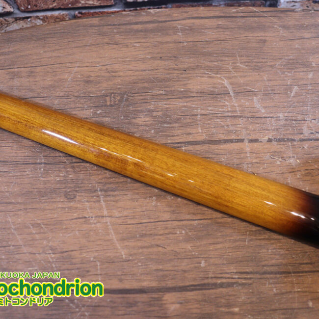 懐かしい、CSB-450！ミディアムスケースの1ピックアップ！