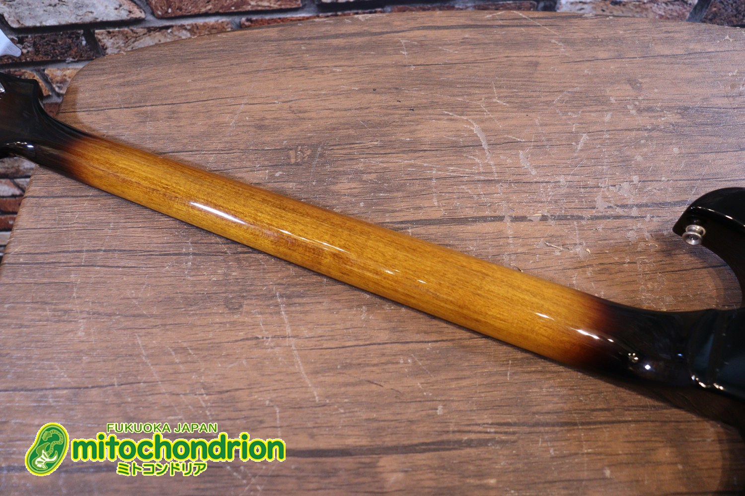 懐かしい、CSB-450！ミディアムスケースの1ピックアップ！