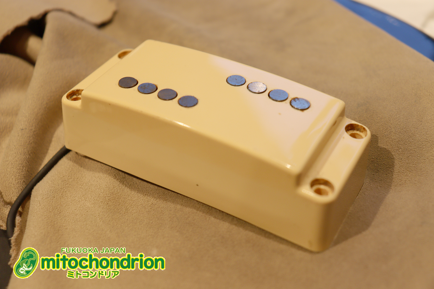 懐かしい、CSB-450！ミディアムスケースの1ピックアップ！