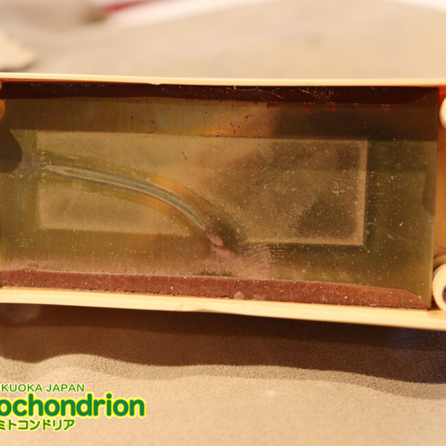 懐かしい、CSB-450！ミディアムスケースの1ピックアップ！